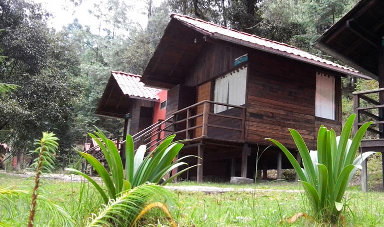 Viaje a Los Azufres Michoacán 2021