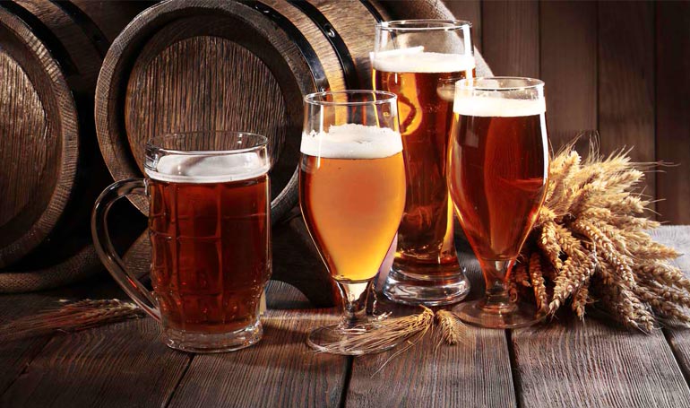 Tour de la Cerveza Artesanal y Tequisquiapan con Tour Sin Límites