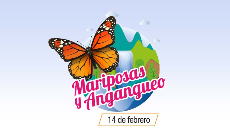 Tour Mariposa Monarca y Angangueo con Tour Sin Límites