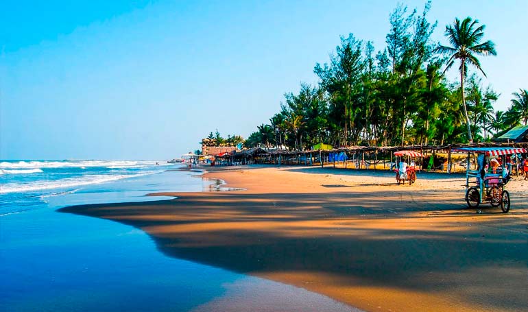 Tour El Tajín, Papantla y Tecolutla 2023 con Tour Sin Límites