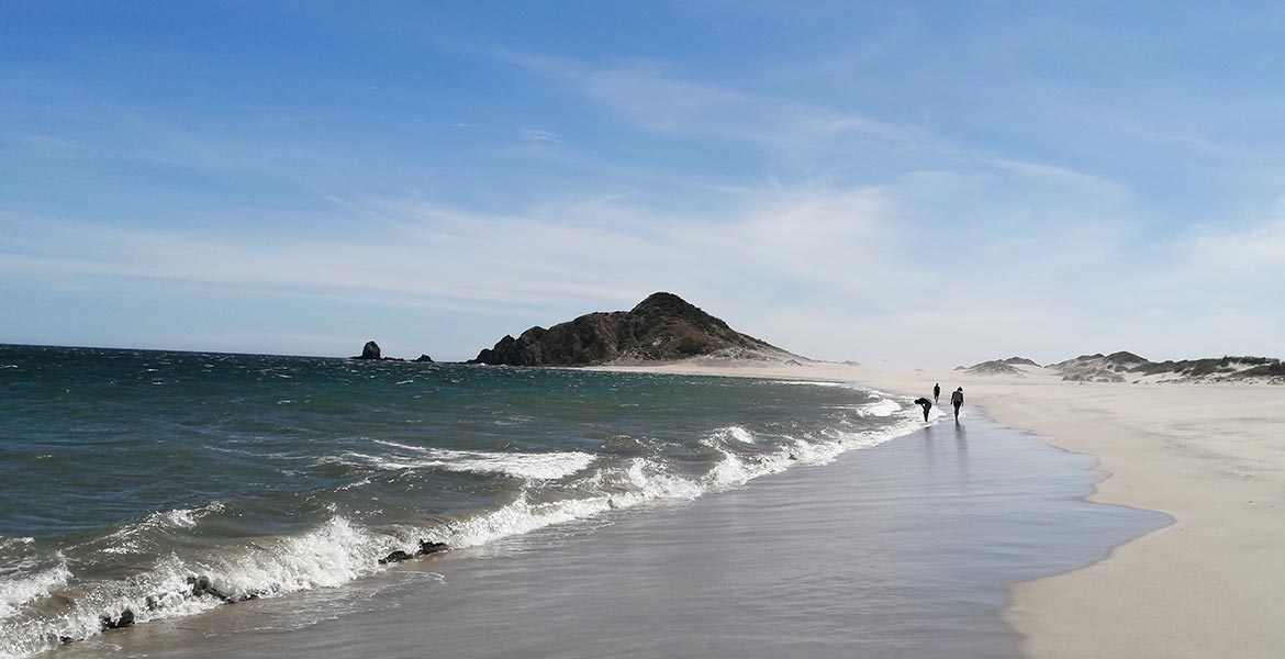 Ruta del Queso y el Vino - 30 de noviembre 2019