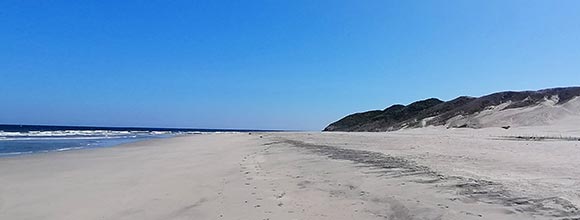 Tour Sin Límite - Playa Zicatela