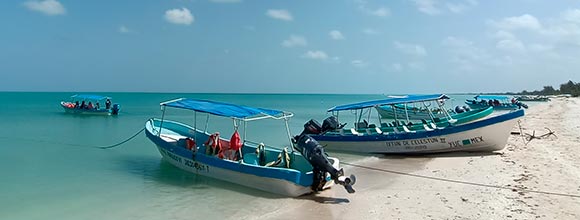 Tour Sin Límites - Playa Zicatela