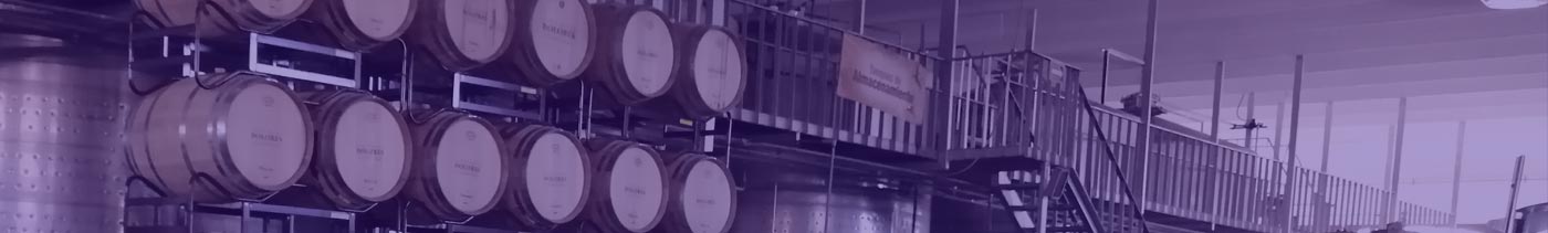 Galería de viajes y paseos con Tour Sin Límites