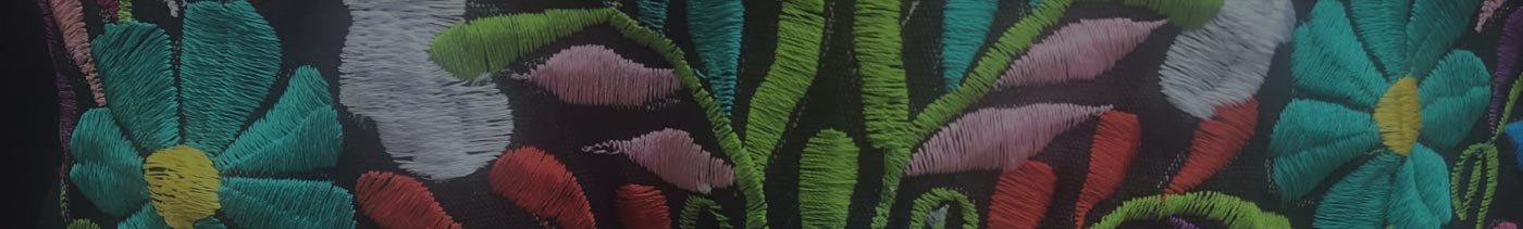 Galería de viajes y paseos con Tour Sin Límites