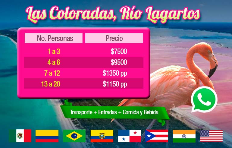 Tour Privado Las Coloradas Río Lagartos con Tour Sin Límites