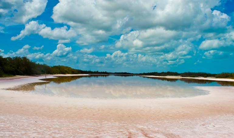 Tour Celestún Ruta del Flamingo con Tour Sin Límites