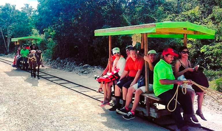 Tour Cenotes Santa Bárbara y Mayapán con Tour Sin Límites