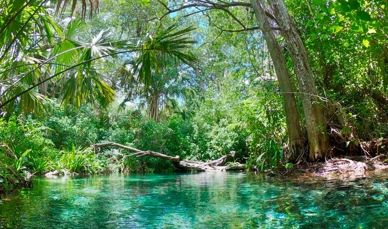 Tour Playa Sisal con Tour Sin Límites